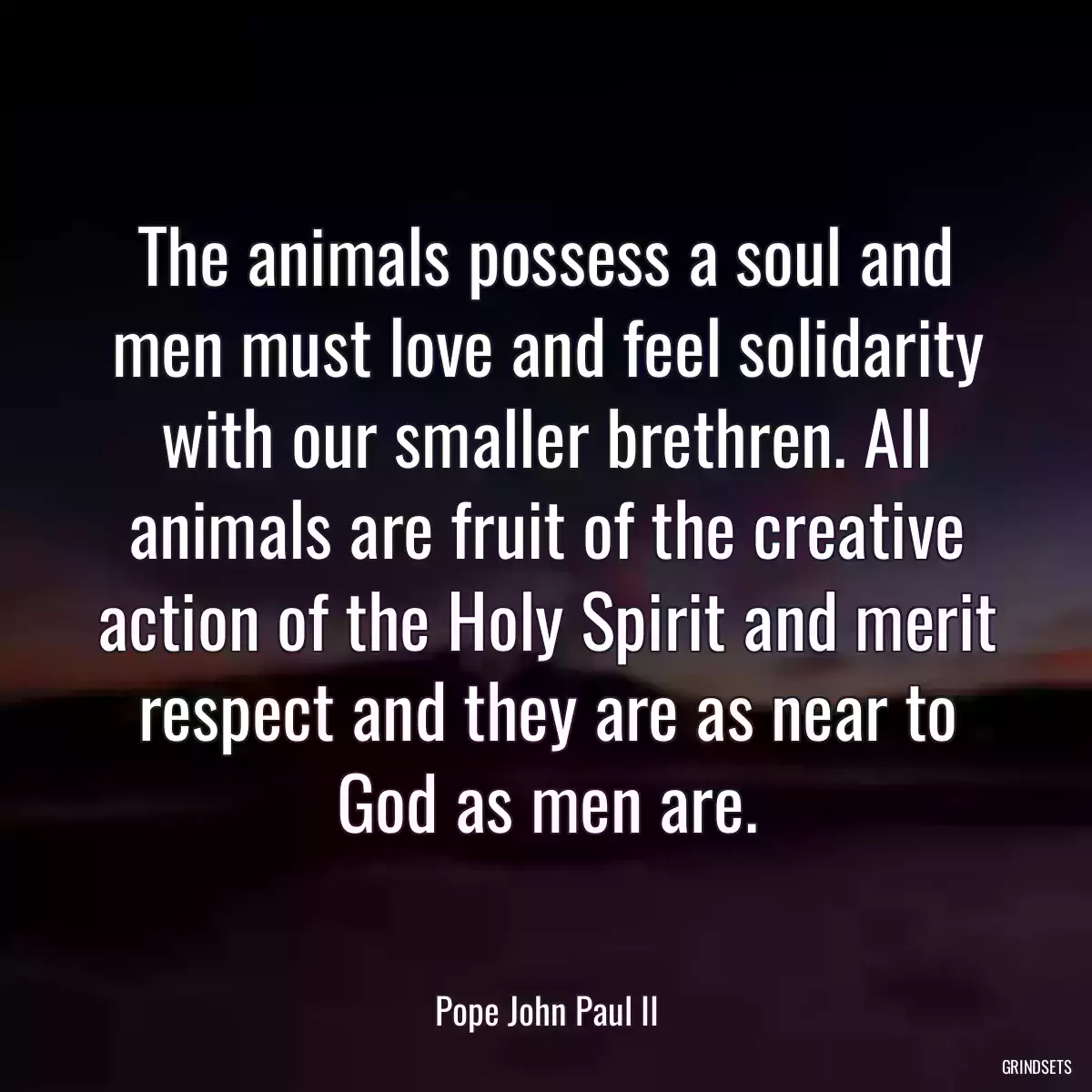 The animals possess a soul and men must love and feel solidarity with our smaller brethren. All animals are fruit of the creative action of the Holy Spirit and merit respect and they are as near to God as men are.