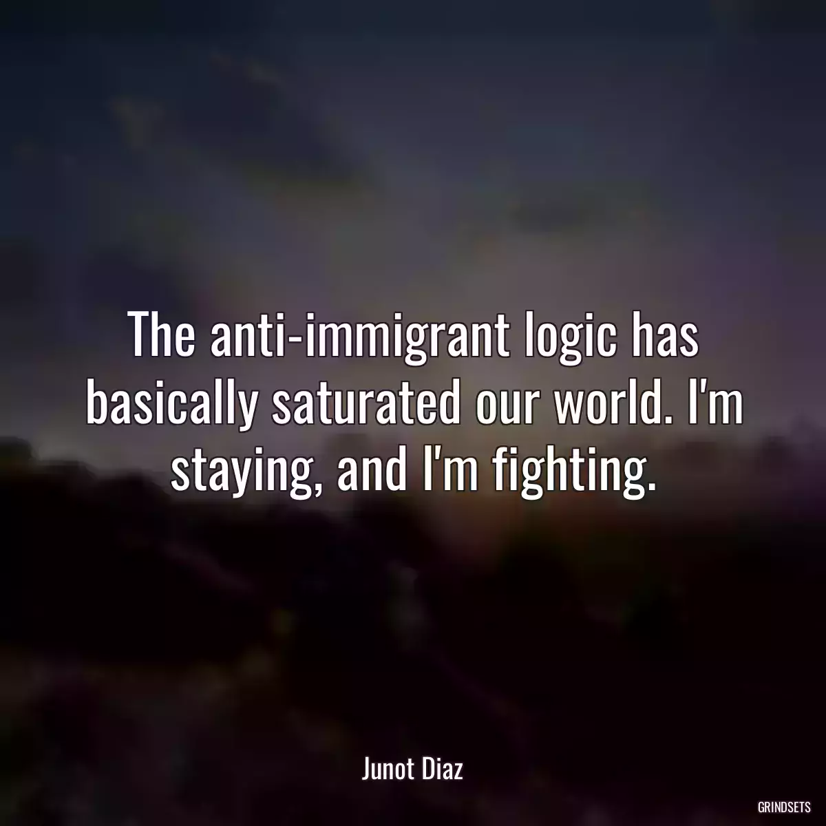 The anti-immigrant logic has basically saturated our world. I\'m staying, and I\'m fighting.