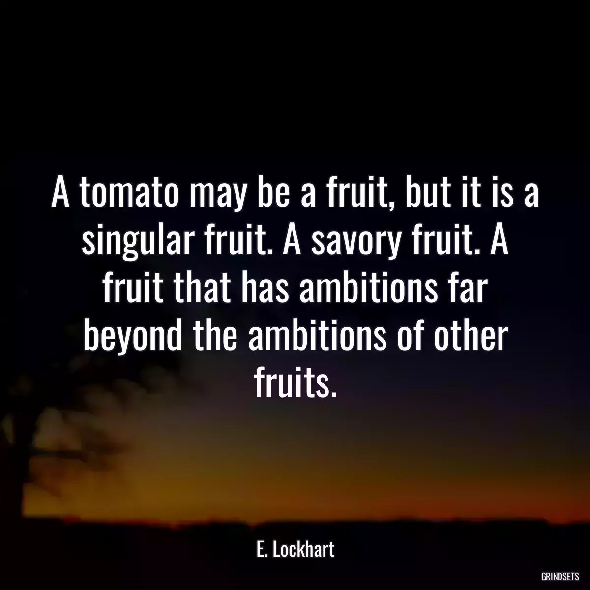 A tomato may be a fruit, but it is a singular fruit. A savory fruit. A fruit that has ambitions far beyond the ambitions of other fruits.