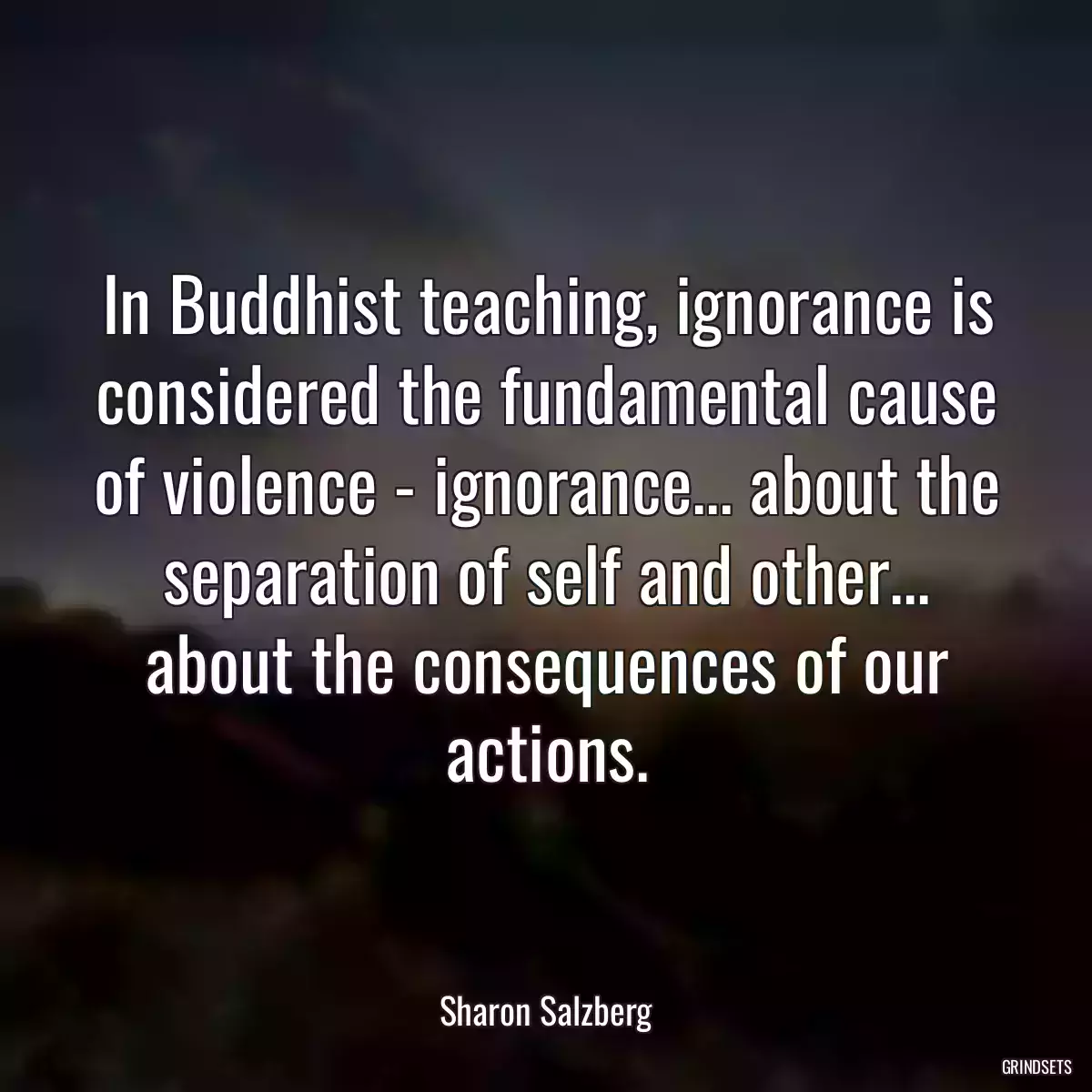 In Buddhist teaching, ignorance is considered the fundamental cause of violence - ignorance... about the separation of self and other... about the consequences of our actions.