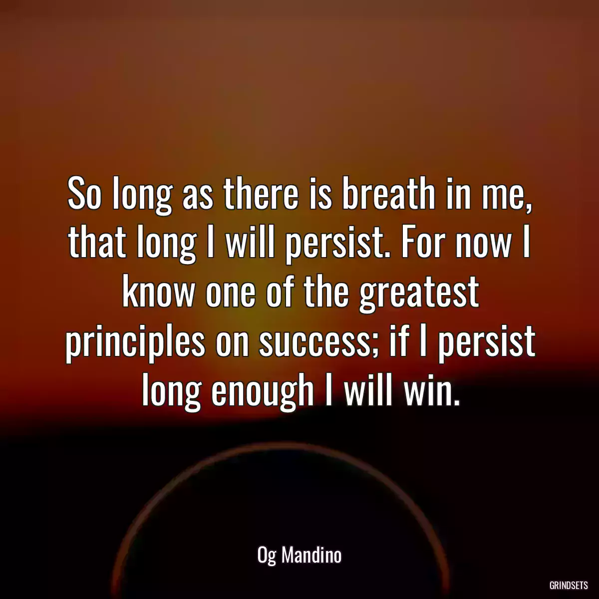 So long as there is breath in me, that long I will persist. For now I know one of the greatest principles on success; if I persist long enough I will win.