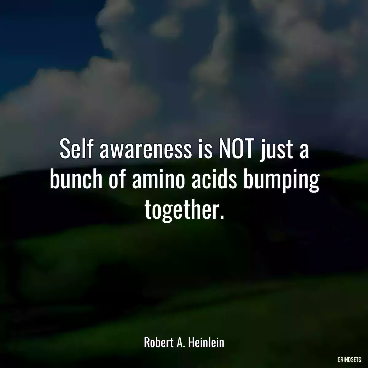 Self awareness is NOT just a bunch of amino acids bumping together.