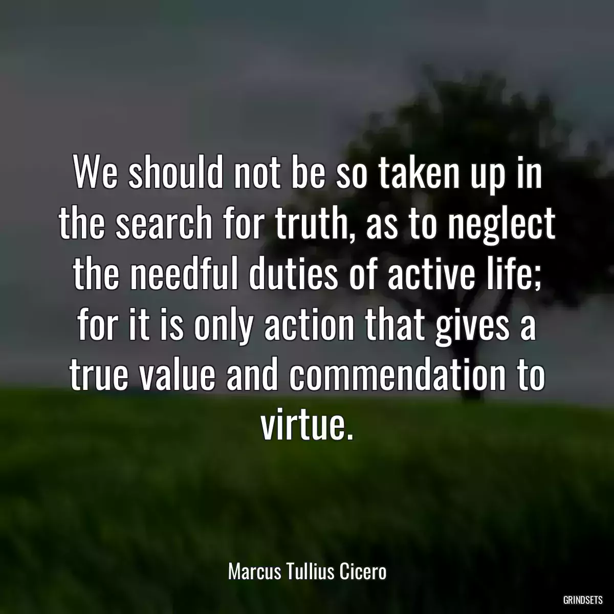 We should not be so taken up in the search for truth, as to neglect the needful duties of active life; for it is only action that gives a true value and commendation to virtue.