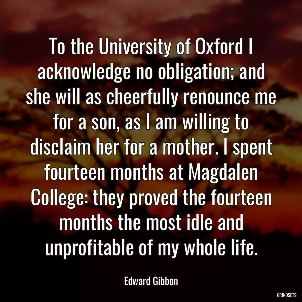 To the University of Oxford I acknowledge no obligation; and she will as cheerfully renounce me for a son, as I am willing to disclaim her for a mother. I spent fourteen months at Magdalen College: they proved the fourteen months the most idle and unprofitable of my whole life.