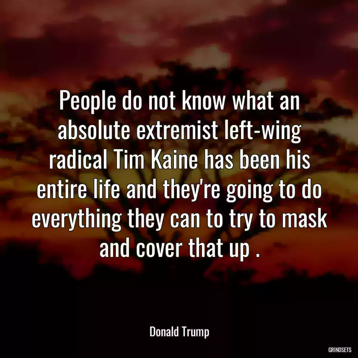 People do not know what an absolute extremist left-wing radical Tim Kaine has been his entire life and they\'re going to do everything they can to try to mask and cover that up .