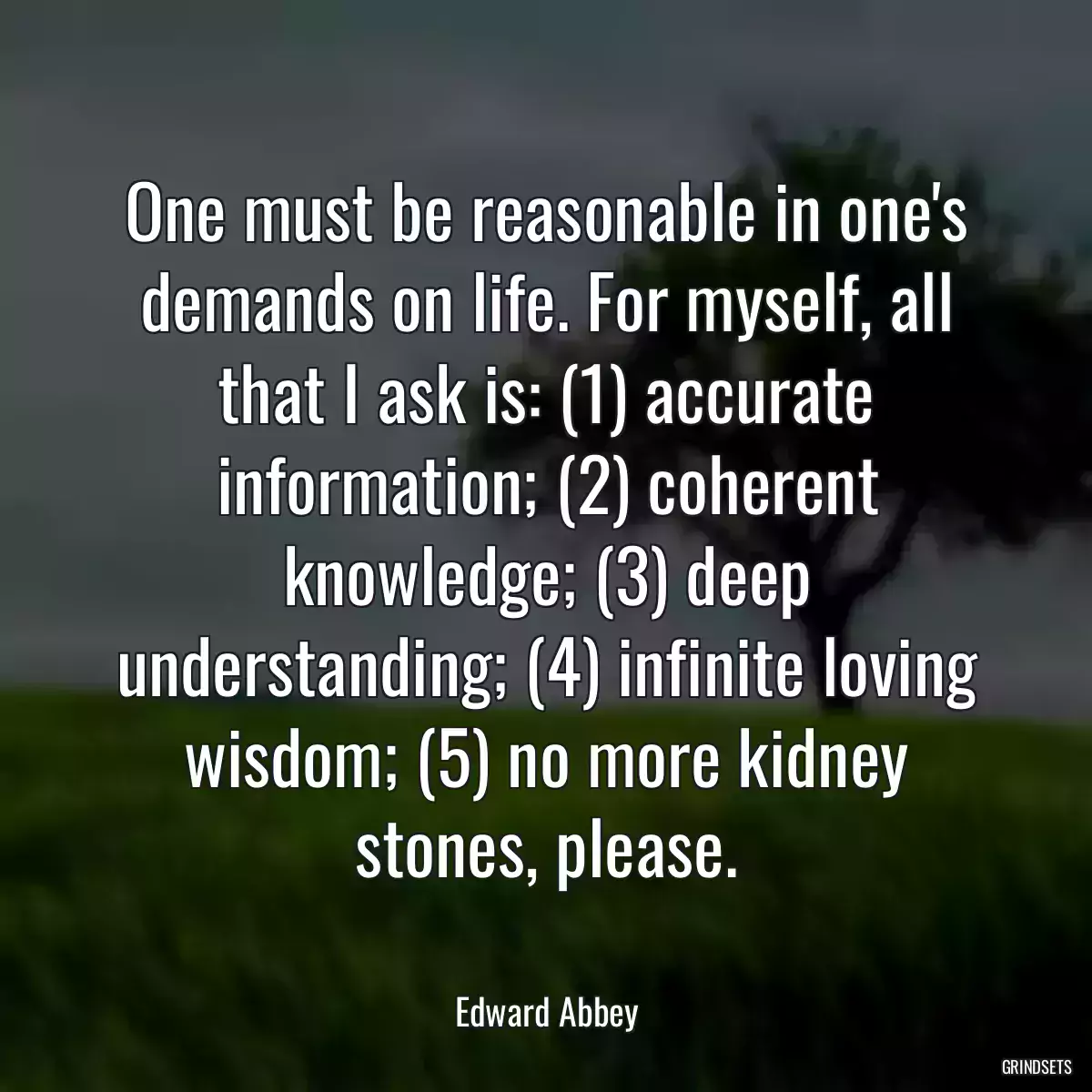 One must be reasonable in one\'s demands on life. For myself, all that I ask is: (1) accurate information; (2) coherent knowledge; (3) deep understanding; (4) infinite loving wisdom; (5) no more kidney stones, please.