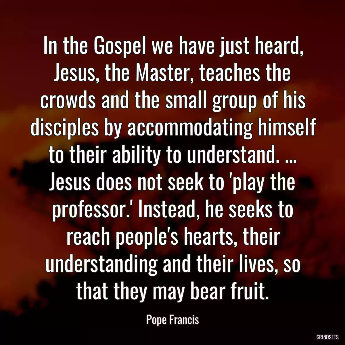 In the Gospel we have just heard, Jesus, the Master, teaches the crowds and the small group of his disciples by accommodating himself to their ability to understand. ... Jesus does not seek to \'play the professor.\' Instead, he seeks to reach people\'s hearts, their understanding and their lives, so that they may bear fruit.