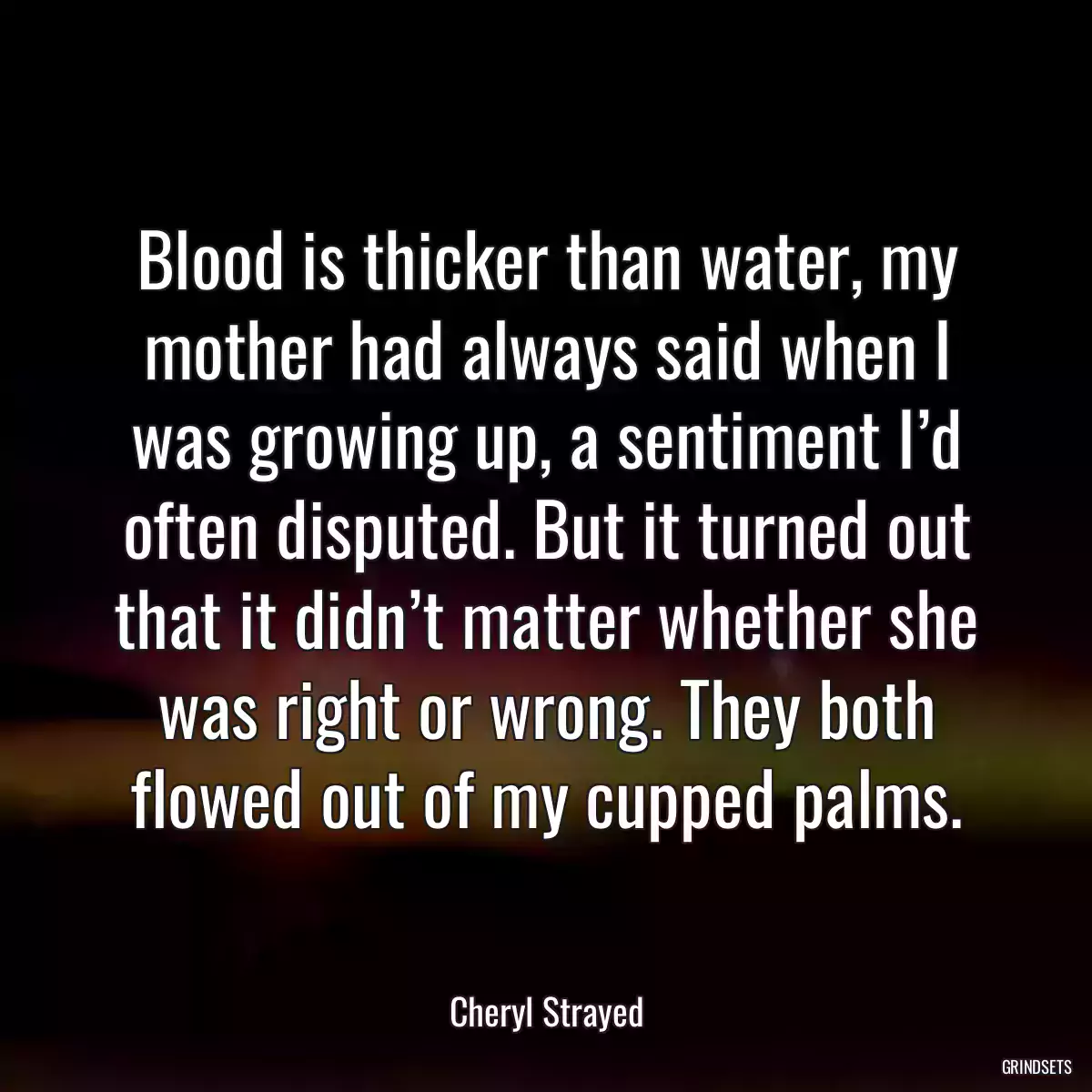 Blood is thicker than water, my mother had always said when I was growing up, a sentiment I’d often disputed. But it turned out that it didn’t matter whether she was right or wrong. They both flowed out of my cupped palms.