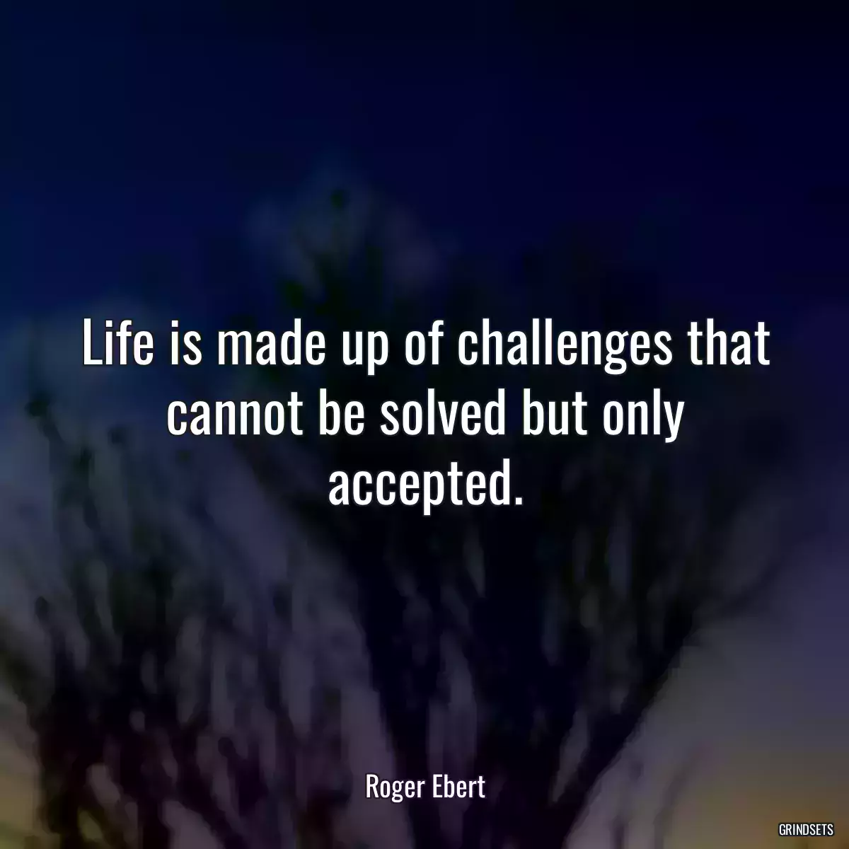 Life is made up of challenges that cannot be solved but only accepted.