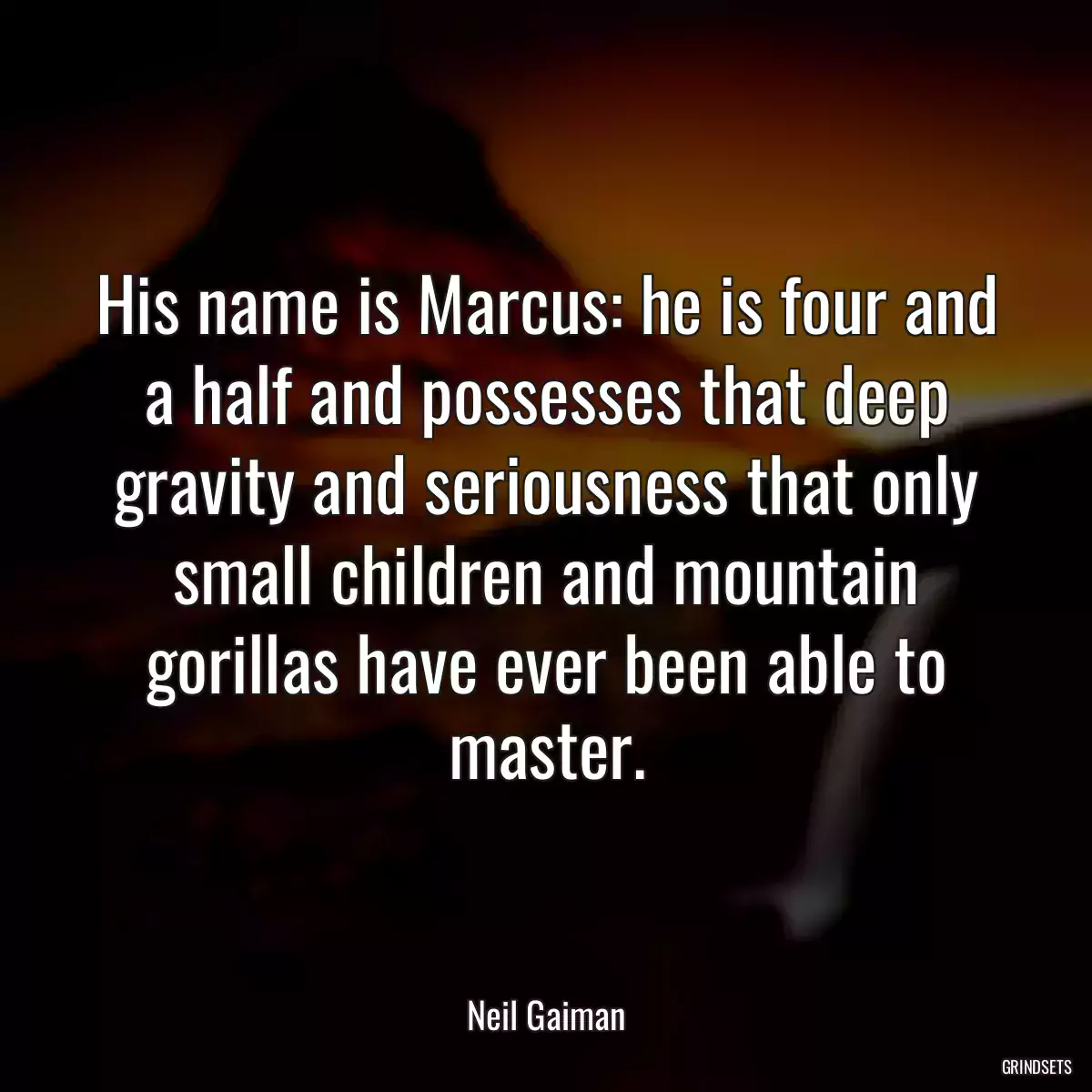 His name is Marcus: he is four and a half and possesses that deep gravity and seriousness that only small children and mountain gorillas have ever been able to master.