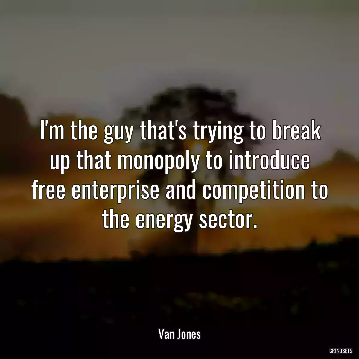 I\'m the guy that\'s trying to break up that monopoly to introduce free enterprise and competition to the energy sector.