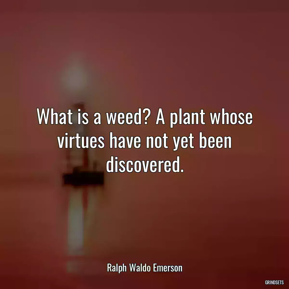 What is a weed? A plant whose virtues have not yet been discovered.