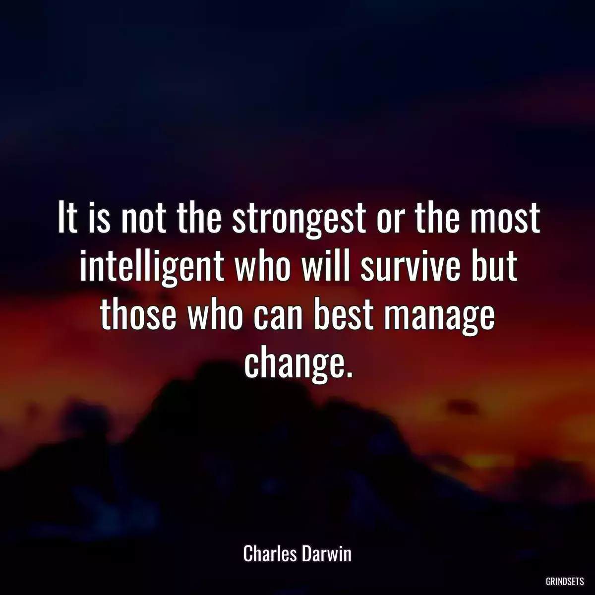 It is not the strongest or the most intelligent who will survive but those who can best manage change.