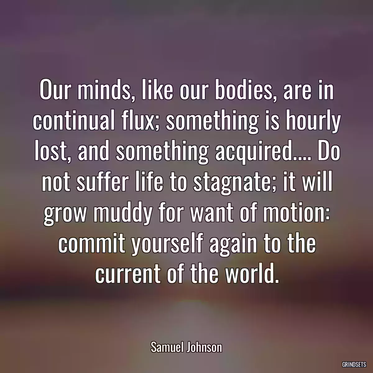 Our minds, like our bodies, are in continual flux; something is hourly lost, and something acquired.... Do not suffer life to stagnate; it will grow muddy for want of motion: commit yourself again to the current of the world.