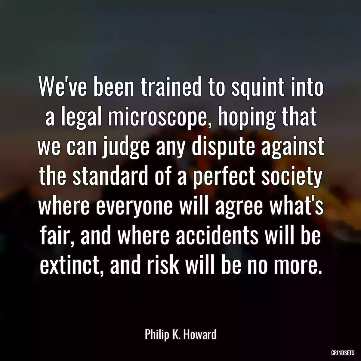 We\'ve been trained to squint into a legal microscope, hoping that we can judge any dispute against the standard of a perfect society where everyone will agree what\'s fair, and where accidents will be extinct, and risk will be no more.