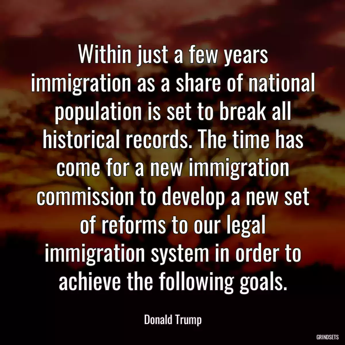 Within just a few years immigration as a share of national population is set to break all historical records. The time has come for a new immigration commission to develop a new set of reforms to our legal immigration system in order to achieve the following goals.