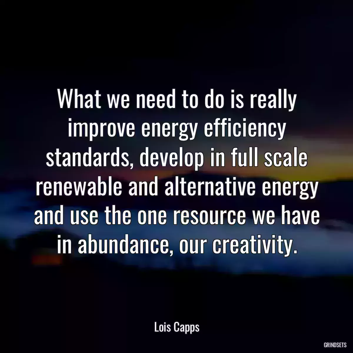 What we need to do is really improve energy efficiency standards, develop in full scale renewable and alternative energy and use the one resource we have in abundance, our creativity.