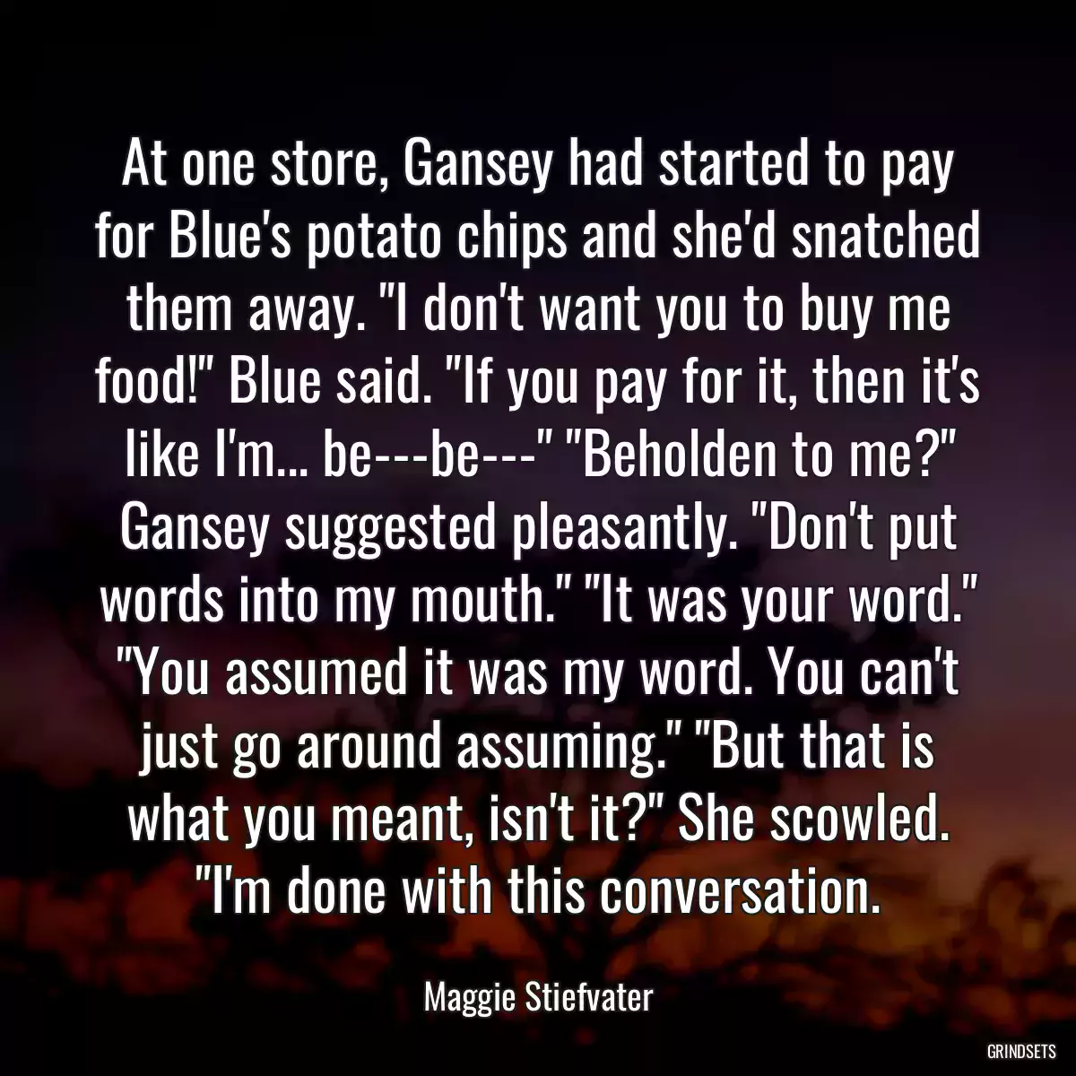 At one store, Gansey had started to pay for Blue\'s potato chips and she\'d snatched them away. \