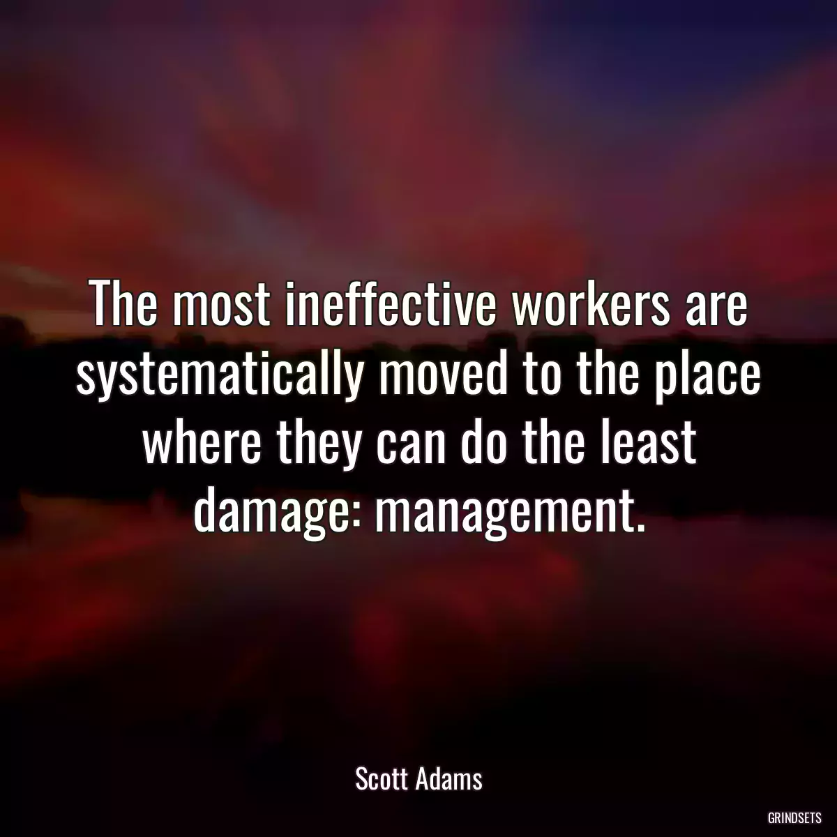 The most ineffective workers are systematically moved to the place where they can do the least damage: management.