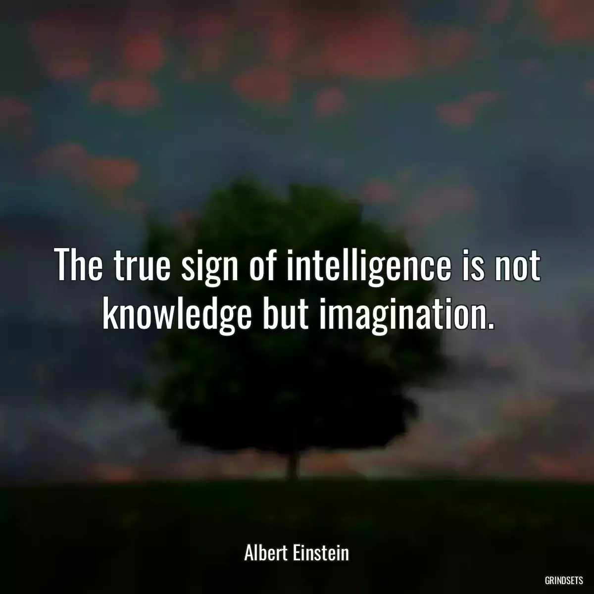 The true sign of intelligence is not knowledge but imagination.