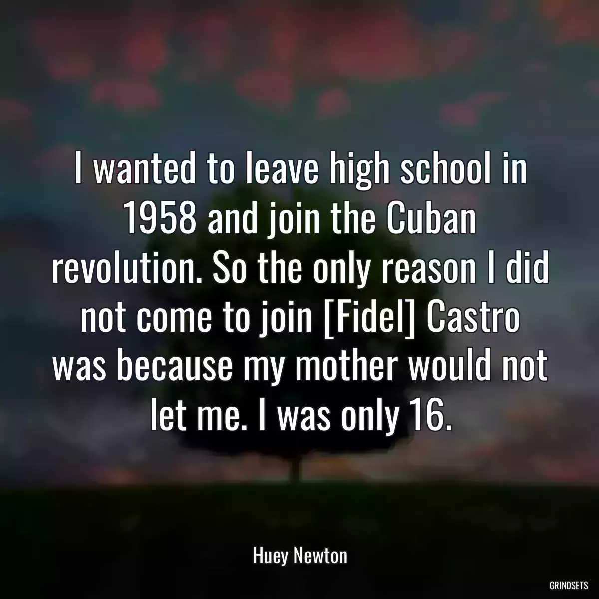 I wanted to leave high school in 1958 and join the Cuban revolution. So the only reason I did not come to join [Fidel] Castro was because my mother would not let me. I was only 16.