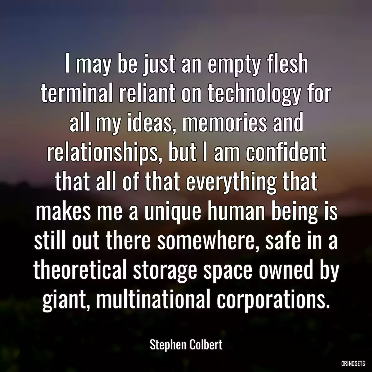 I may be just an empty flesh terminal reliant on technology for all my ideas, memories and relationships, but I am confident that all of that everything that makes me a unique human being is still out there somewhere, safe in a theoretical storage space owned by giant, multinational corporations.