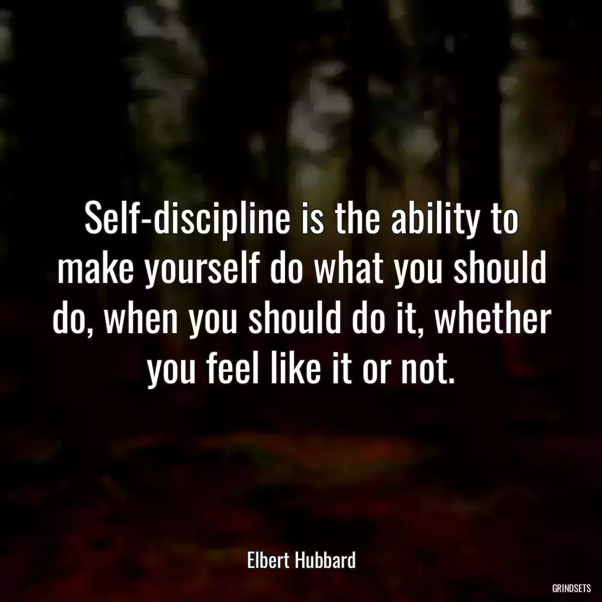 Self-discipline is the ability to make yourself do what you should do, when you should do it, whether you feel like it or not.