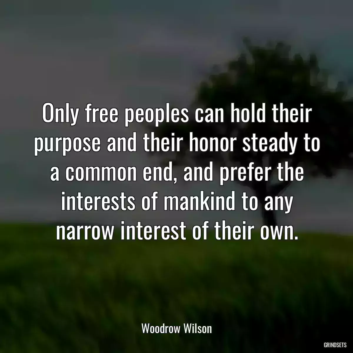 Only free peoples can hold their purpose and their honor steady to a common end, and prefer the interests of mankind to any narrow interest of their own.