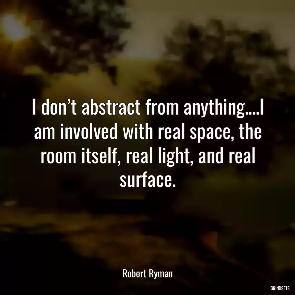 I don’t abstract from anything.…I am involved with real space, the room itself, real light, and real surface.