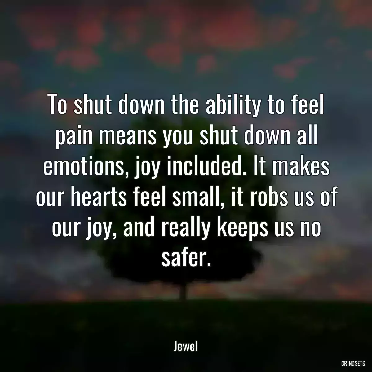 To shut down the ability to feel pain means you shut down all emotions, joy included. It makes our hearts feel small, it robs us of our joy, and really keeps us no safer.