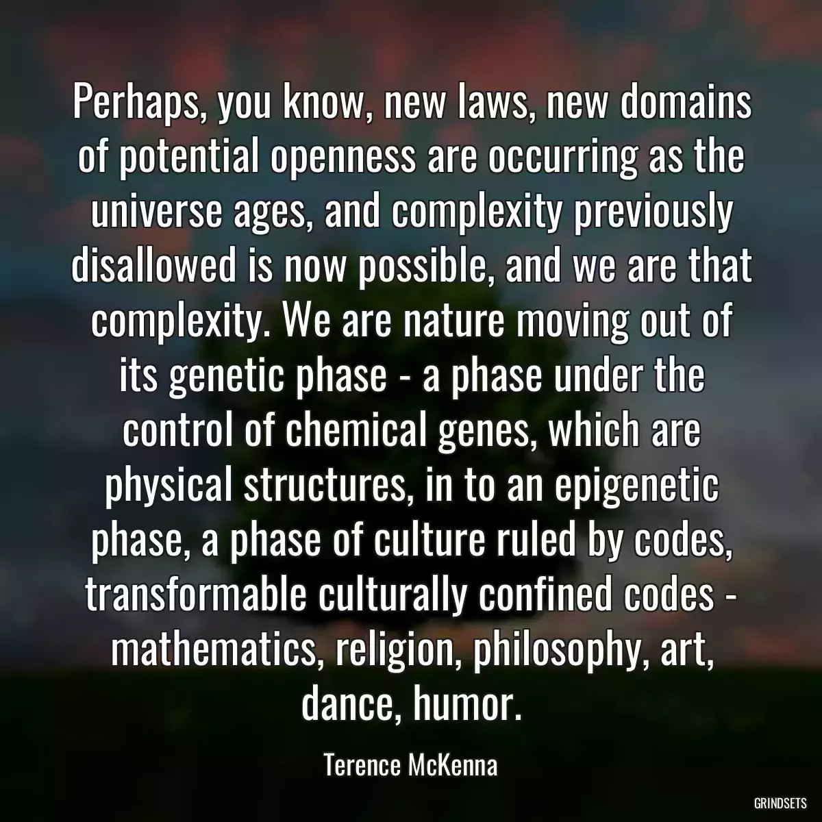 Perhaps, you know, new laws, new domains of potential openness are occurring as the universe ages, and complexity previously disallowed is now possible, and we are that complexity. We are nature moving out of its genetic phase - a phase under the control of chemical genes, which are physical structures, in to an epigenetic phase, a phase of culture ruled by codes, transformable culturally confined codes - mathematics, religion, philosophy, art, dance, humor.