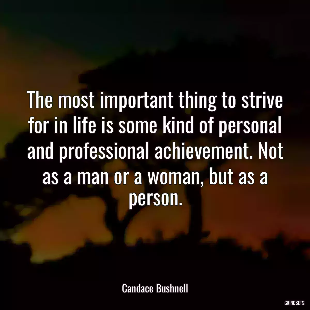 The most important thing to strive for in life is some kind of personal and professional achievement. Not as a man or a woman, but as a person.