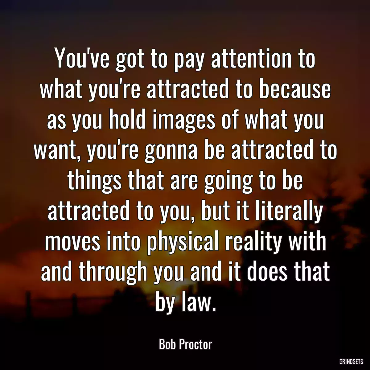 You\'ve got to pay attention to what you\'re attracted to because as you hold images of what you want, you\'re gonna be attracted to things that are going to be attracted to you, but it literally moves into physical reality with and through you and it does that by law.