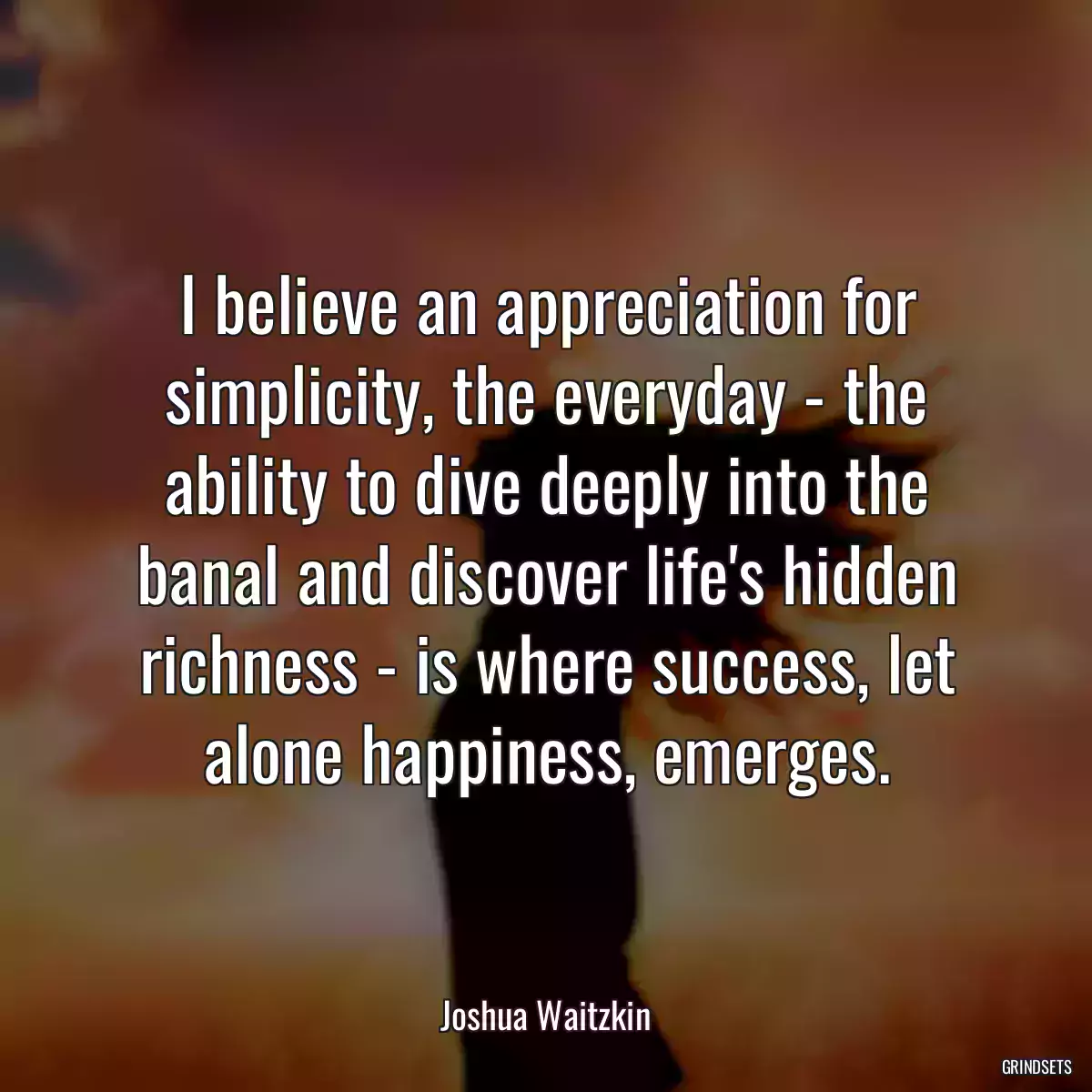 I believe an appreciation for simplicity, the everyday - the ability to dive deeply into the banal and discover life\'s hidden richness - is where success, let alone happiness, emerges.