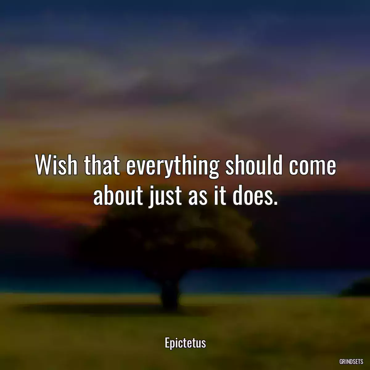 Wish that everything should come about just as it does.