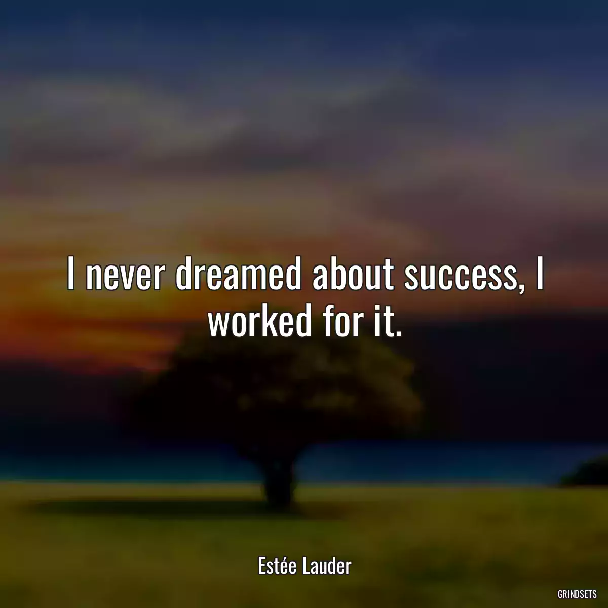 I never dreamed about success, I worked for it.