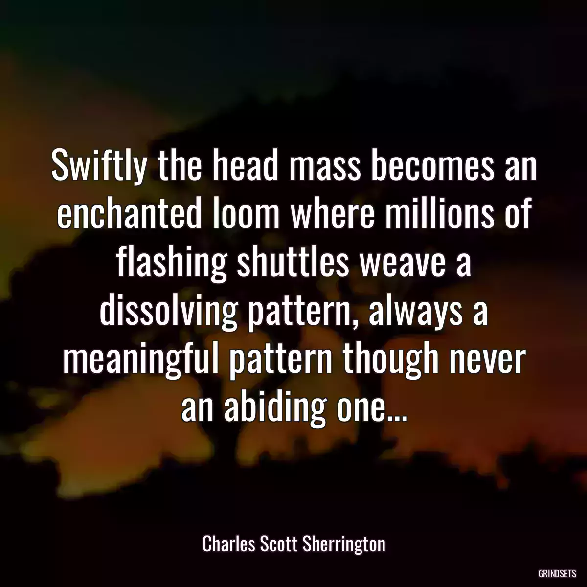 Swiftly the head mass becomes an enchanted loom where millions of flashing shuttles weave a dissolving pattern, always a meaningful pattern though never an abiding one...