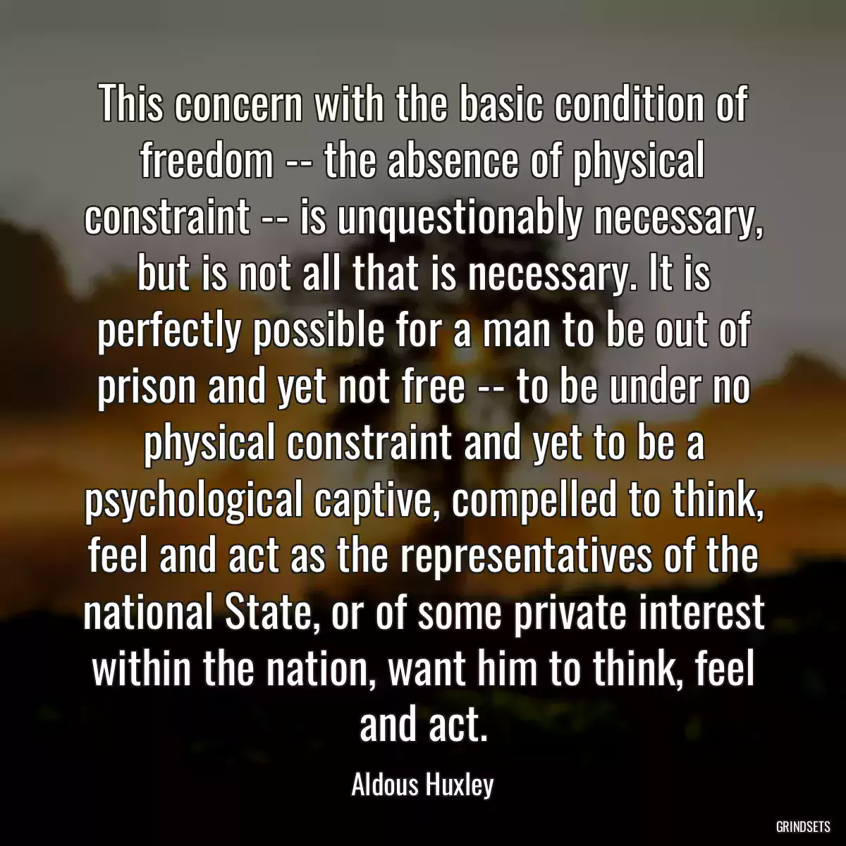 This concern with the basic condition of freedom -- the absence of physical constraint -- is unquestionably necessary, but is not all that is necessary. It is perfectly possible for a man to be out of prison and yet not free -- to be under no physical constraint and yet to be a psychological captive, compelled to think, feel and act as the representatives of the national State, or of some private interest within the nation, want him to think, feel and act.