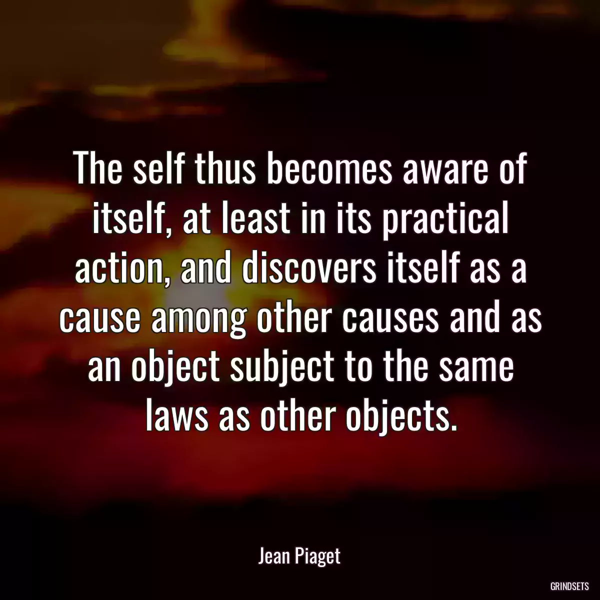 The self thus becomes aware of itself, at least in its practical action, and discovers itself as a cause among other causes and as an object subject to the same laws as other objects.