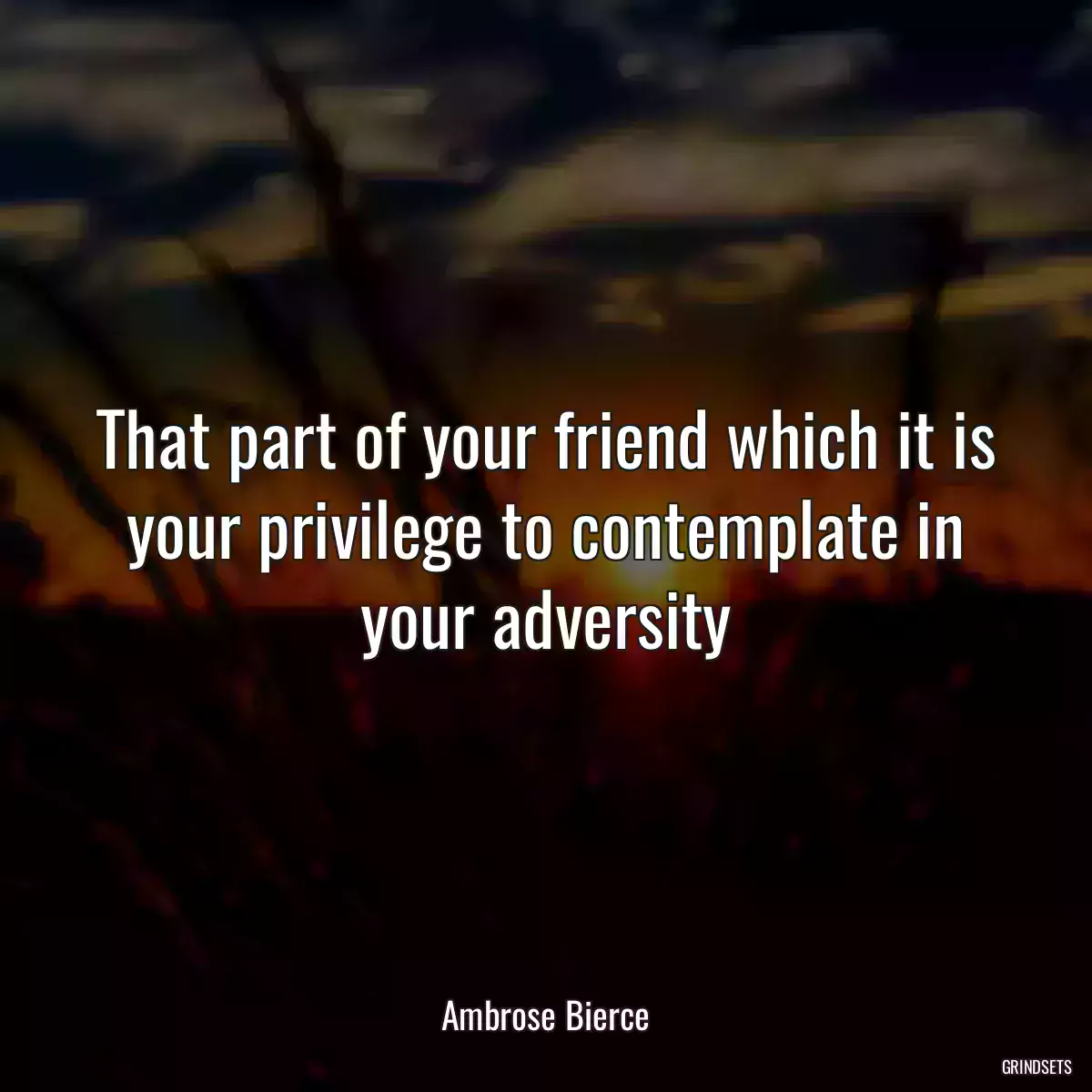 That part of your friend which it is your privilege to contemplate in your adversity