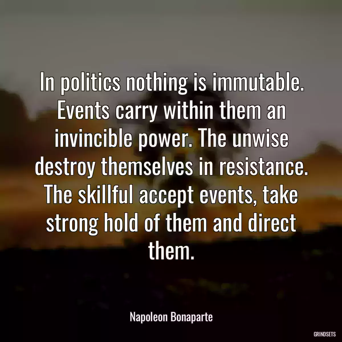 In politics nothing is immutable. Events carry within them an invincible power. The unwise destroy themselves in resistance. The skillful accept events, take strong hold of them and direct them.