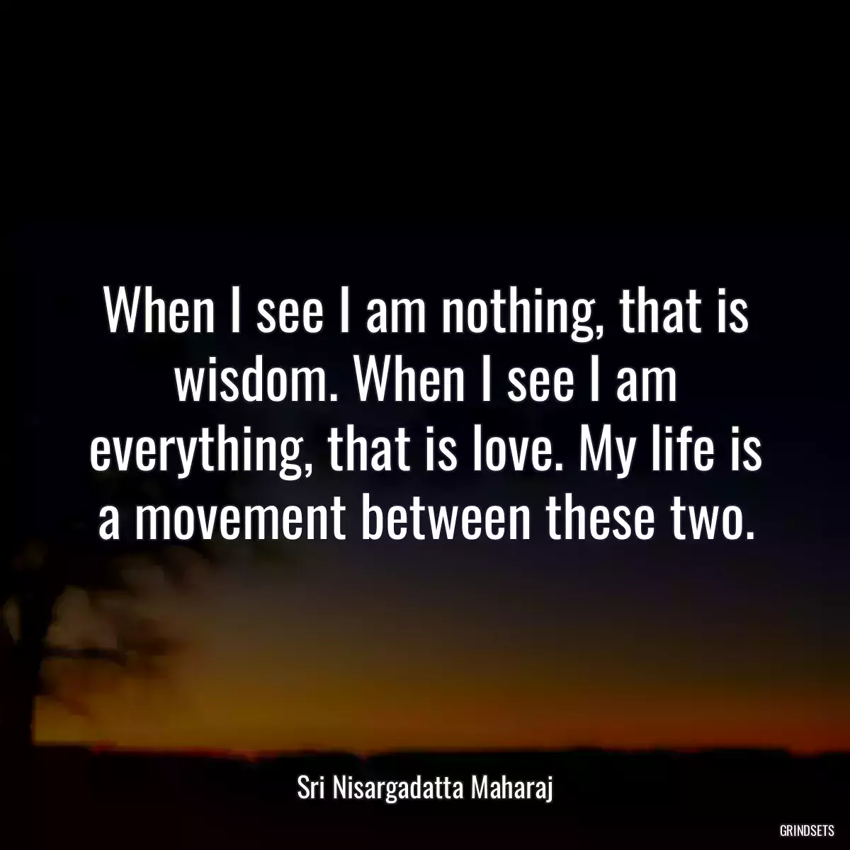 When I see I am nothing, that is wisdom. When I see I am everything, that is love. My life is a movement between these two.