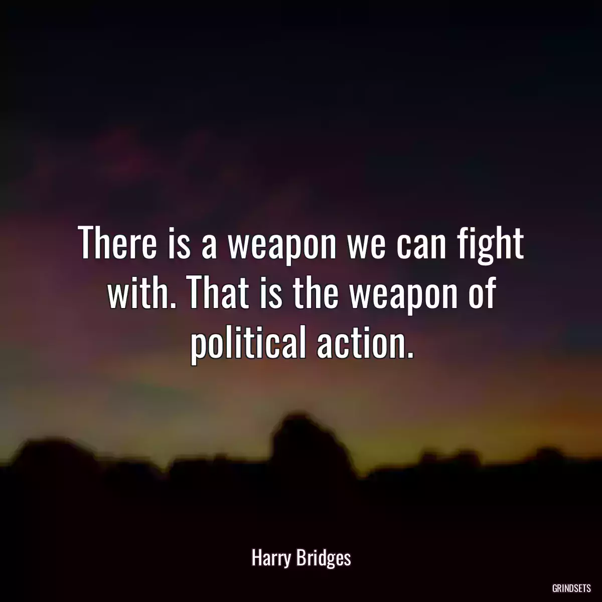 There is a weapon we can fight with. That is the weapon of political action.