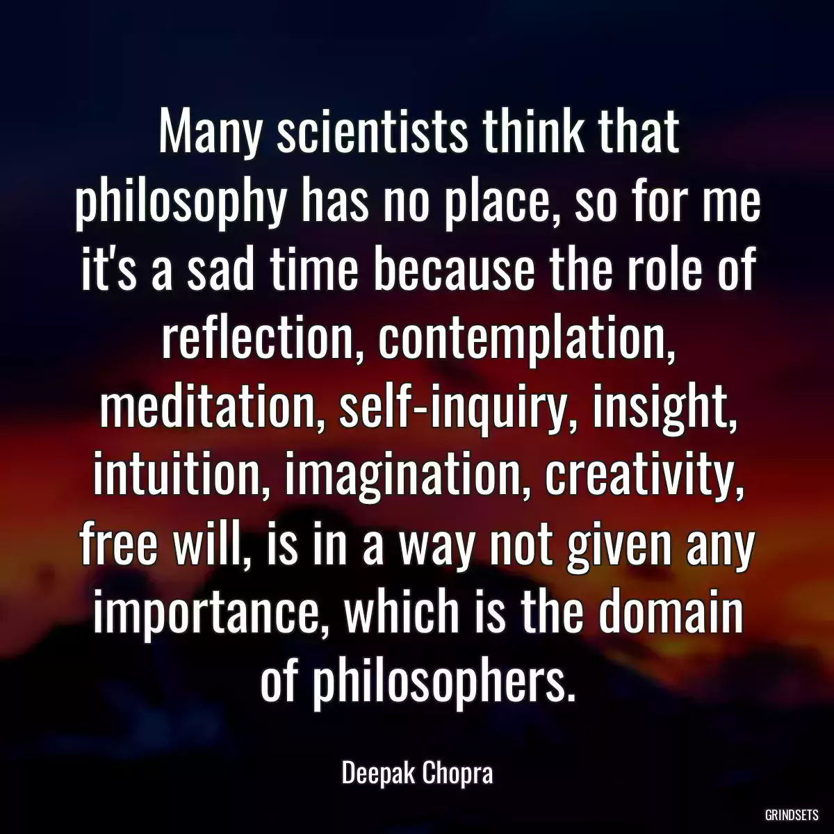 Many scientists think that philosophy has no place, so for me it\'s a sad time because the role of reflection, contemplation, meditation, self-inquiry, insight, intuition, imagination, creativity, free will, is in a way not given any importance, which is the domain of philosophers.