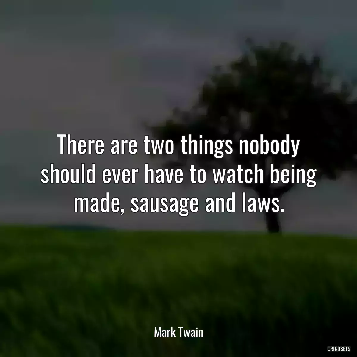 There are two things nobody should ever have to watch being made, sausage and laws.