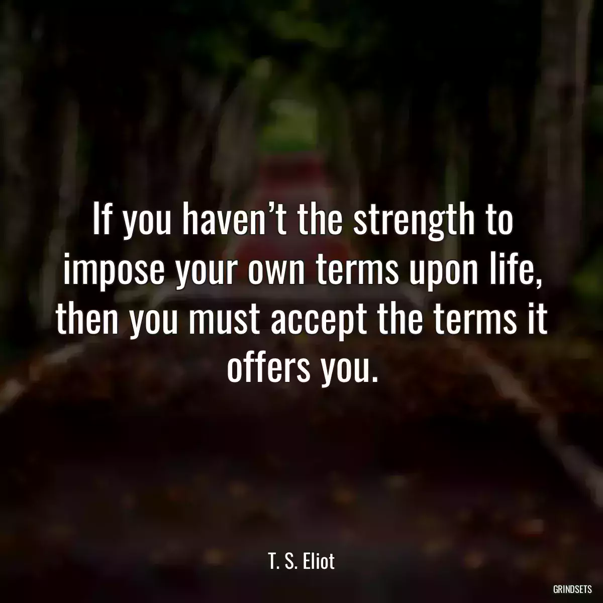 If you haven’t the strength to impose your own terms upon life, then you must accept the terms it offers you.