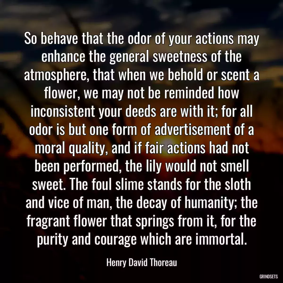 So behave that the odor of your actions may enhance the general sweetness of the atmosphere, that when we behold or scent a flower, we may not be reminded how inconsistent your deeds are with it; for all odor is but one form of advertisement of a moral quality, and if fair actions had not been performed, the lily would not smell sweet. The foul slime stands for the sloth and vice of man, the decay of humanity; the fragrant flower that springs from it, for the purity and courage which are immortal.