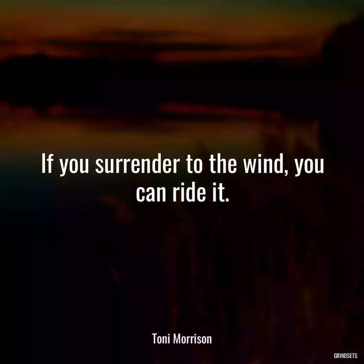 If you surrender to the wind, you can ride it.