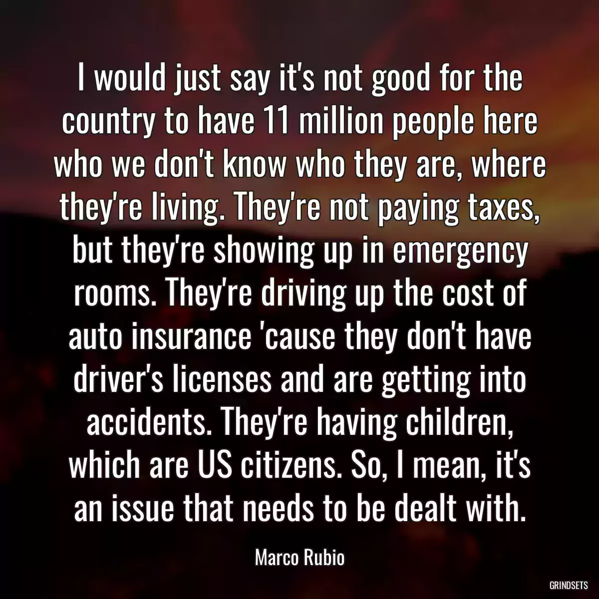 I would just say it\'s not good for the country to have 11 million people here who we don\'t know who they are, where they\'re living. They\'re not paying taxes, but they\'re showing up in emergency rooms. They\'re driving up the cost of auto insurance \'cause they don\'t have driver\'s licenses and are getting into accidents. They\'re having children, which are US citizens. So, I mean, it\'s an issue that needs to be dealt with.