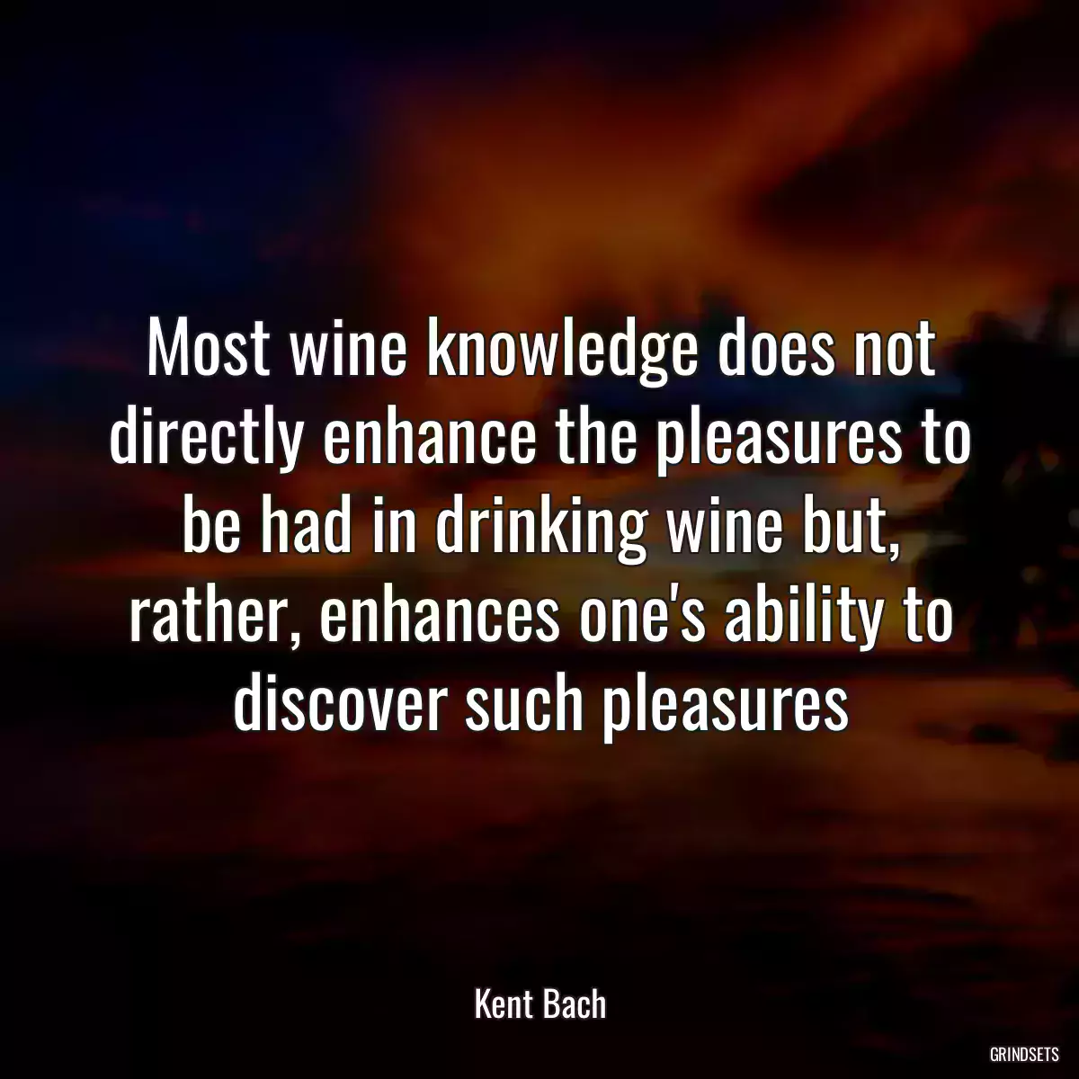 Most wine knowledge does not directly enhance the pleasures to be had in drinking wine but, rather, enhances one\'s ability to discover such pleasures